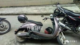 廉江电动车事件最新爆料,真相与争议再起